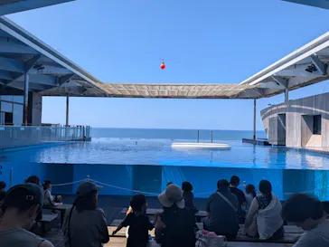 上越市立水族博物館 うみがたりに投稿された画像（2026/8/5）