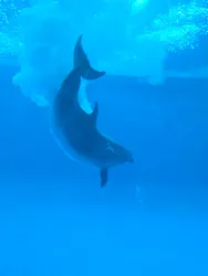 アクアワールド茨城県大洗水族館に投稿された画像（2026/8/5）