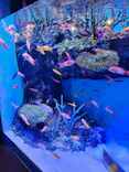 竹島水族館に投稿された画像（2026/8/5）