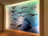 サンシャイン水族館に投稿された画像（2026/8/5）