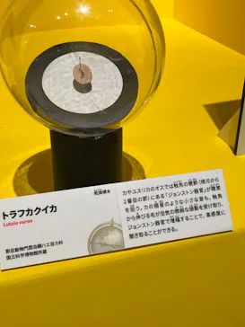 特別展「いきもの超ワールド展　国立科学博物館×ダーウィンが来た！」（国立科学博物館）に投稿された画像（2026/8/5）