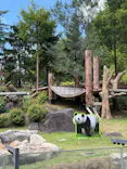 上野動物園 ハシビロカートに投稿された画像（2026/8/5）