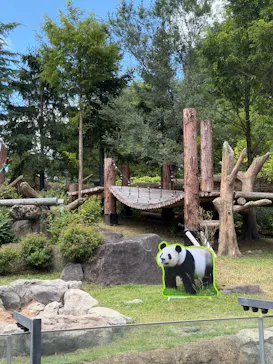 上野動物園 ハシビロカートに投稿された画像（2026/8/5）