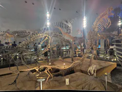 福井県立恐竜博物館に投稿された画像（2026/8/5）