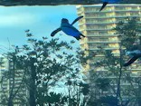 サンシャイン水族館に投稿された画像（2026/8/5）