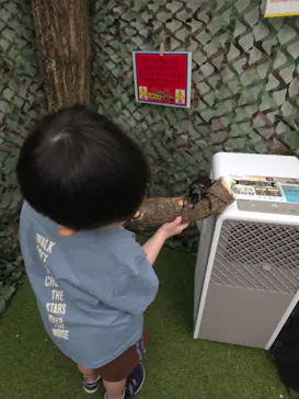 TOMUSHIのカブクワすごいぞ!! in けやきひろばに投稿された画像（2026/8/5）