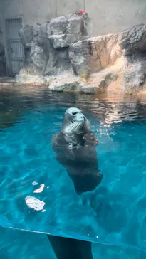大分マリーンパレス水族館 「うみたまご」に投稿された画像（2026/8/5）