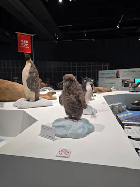 大南極展に投稿された画像（2026/8/5）