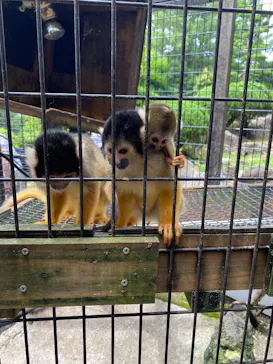 伊豆シャボテン動物公園に投稿された画像（2026/8/5）