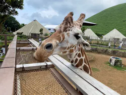 伊豆シャボテン動物公園に投稿された画像（2026/8/5）