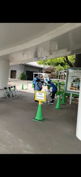 上野動物園 ハシビロカートに投稿された画像（2026/8/5）