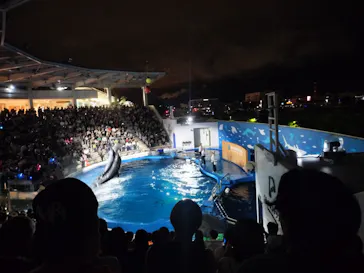 仙台うみの杜水族館に投稿された画像（2026/8/5）