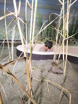仙台うみの杜水族館に投稿された画像（2026/8/5）