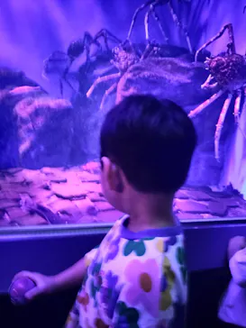 仙台うみの杜水族館に投稿された画像（2026/8/5）