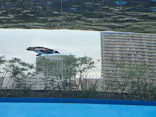 サンシャイン水族館に投稿された画像（2026/8/6）