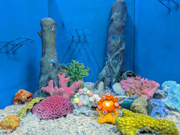 海洋堂ホビーロビー大阪に投稿された画像（2026/8/5）