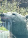 天王寺動物園に投稿された画像（2026/8/6）