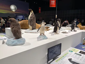 大南極展に投稿された画像（2026/8/6）