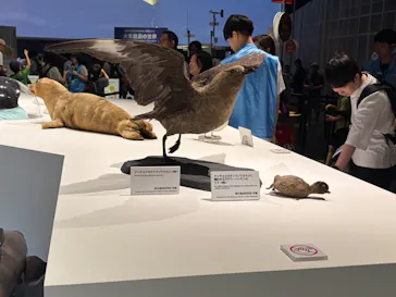 大南極展に投稿された画像（2026/8/6）