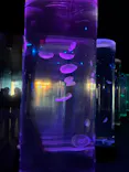 のとじま水族館に投稿された画像（2026/8/6）