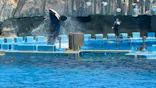 名古屋港水族館に投稿された画像（2026/8/6）
