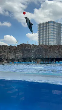 名古屋港水族館に投稿された画像（2026/8/6）