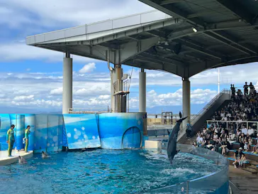 新江ノ島水族館に投稿された画像（2026/8/6）