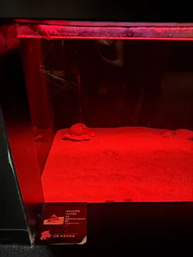 環境水族館アクアマリンふくしまに投稿された画像（2026/8/6）