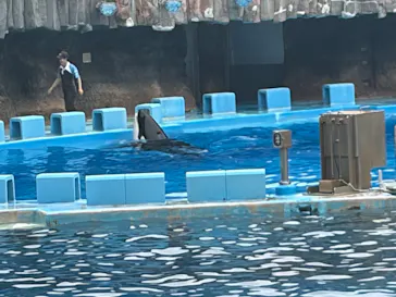 名古屋港水族館に投稿された画像（2026/8/6）