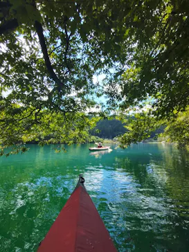 FEELGOOD CANOE TOURS（フィールグッドカヌーツアーズ）に投稿された画像（2026/8/6）