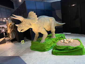 ヨコハマ恐竜展２０２６～恐竜の食卓大図鑑～に投稿された画像（2026/8/6）