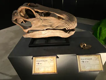 ヨコハマ恐竜展２０２６～恐竜の食卓大図鑑～に投稿された画像（2026/8/6）
