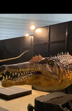 ヨコハマ恐竜展２０２６～恐竜の食卓大図鑑～に投稿された画像（2026/8/6）