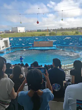 仙台うみの杜水族館に投稿された画像（2026/8/6）