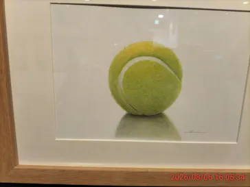 プレバト才能アリ展（大阪会場）に投稿された画像（2026/8/6）