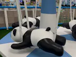 キッズランドUS 岐阜各務原店に投稿された画像（2026/8/6）