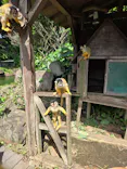伊豆シャボテン動物公園に投稿された画像（2026/8/7）