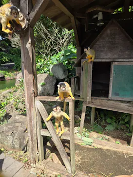 伊豆シャボテン動物公園に投稿された画像（2026/8/6）