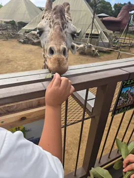 伊豆シャボテン動物公園に投稿された画像（2026/8/6）