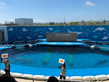 仙台うみの杜水族館に投稿された画像（2026/8/6）