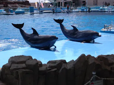 名古屋港水族館に投稿された画像（2026/8/6）