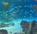 サンシャイン水族館に投稿された画像（2026/8/7）