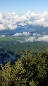 山梨県富士山観光振興グループに投稿された画像（2026/8/7）