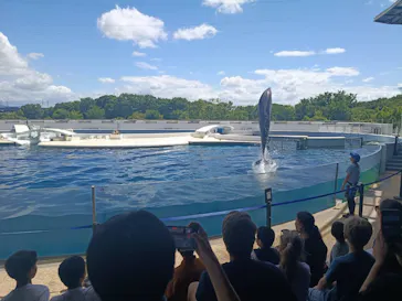 京都水族館に投稿された画像（2026/8/7）