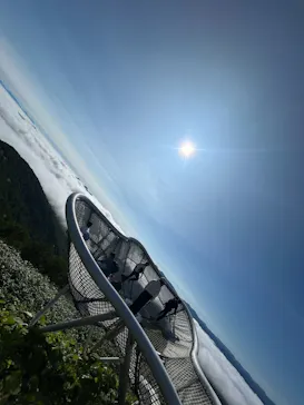 星野リゾート　トマムに投稿された画像（2026/8/7）