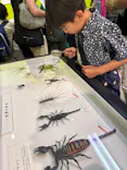 渋谷昆虫探検隊に投稿された画像（2026/8/7）