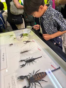 渋谷昆虫探検隊に投稿された画像（2026/8/7）