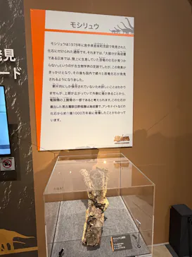 福井県立恐竜博物館に投稿された画像（2026/8/7）