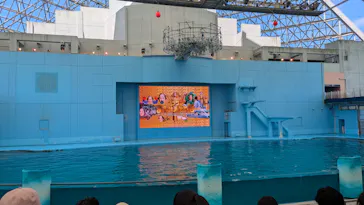 横浜・八景島シーパラダイスに投稿された画像（2026/8/7）