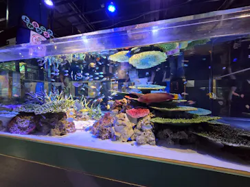 竹島水族館に投稿された画像（2026/8/7）